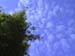 bamboo_clouds1