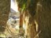 indian_cove-jtree