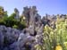 mono_tufa-010919