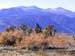mono_tufa-010919b