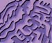 sheep_relief-02